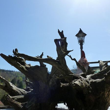 Waldschloesschen Hotel Bad Herrenalb Buitenkant foto