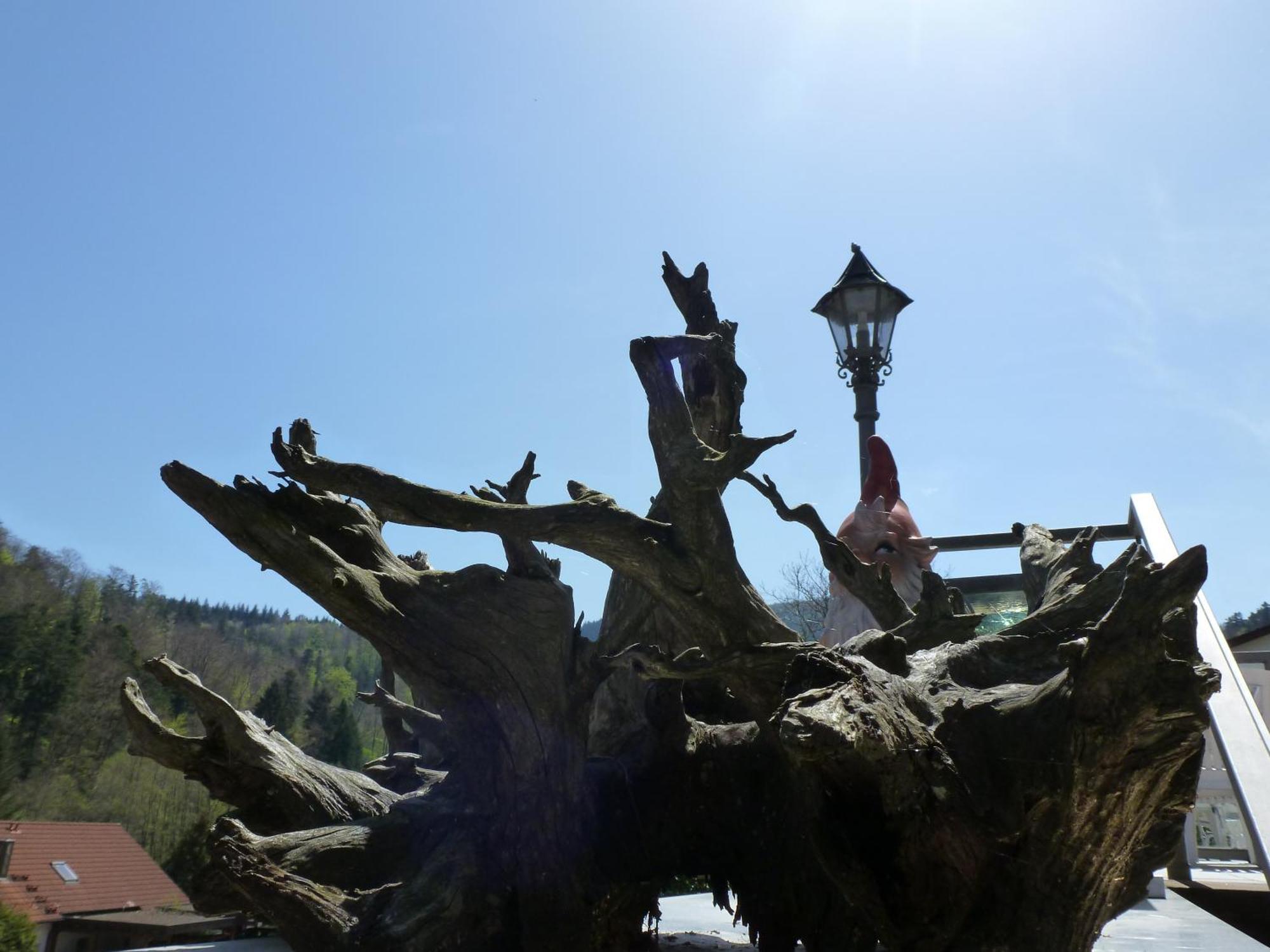 Waldschloesschen Hotel Bad Herrenalb Buitenkant foto