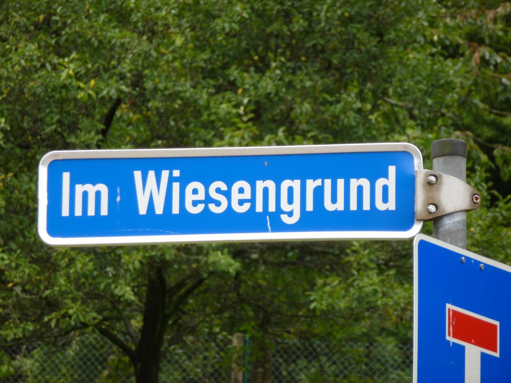 Waldschloesschen Hotel Bad Herrenalb Buitenkant foto