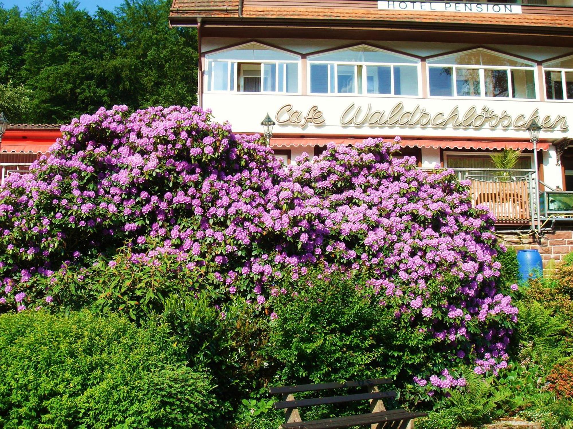Waldschloesschen Hotel Bad Herrenalb Buitenkant foto